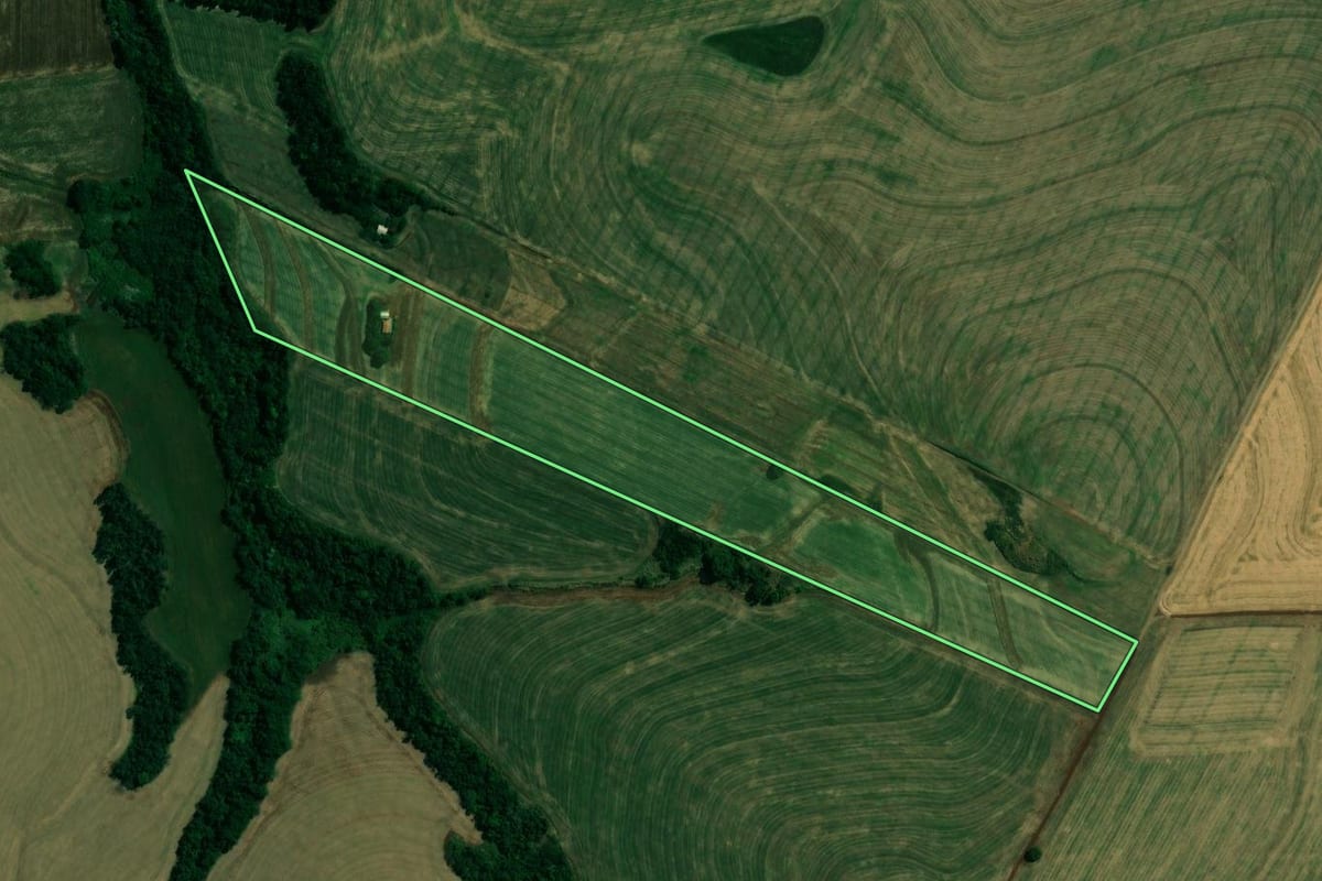 Imagem de satélite do imóvel rural em Quinta do Sol (PR), com o contorno declarado no CAR desenhado por cima.