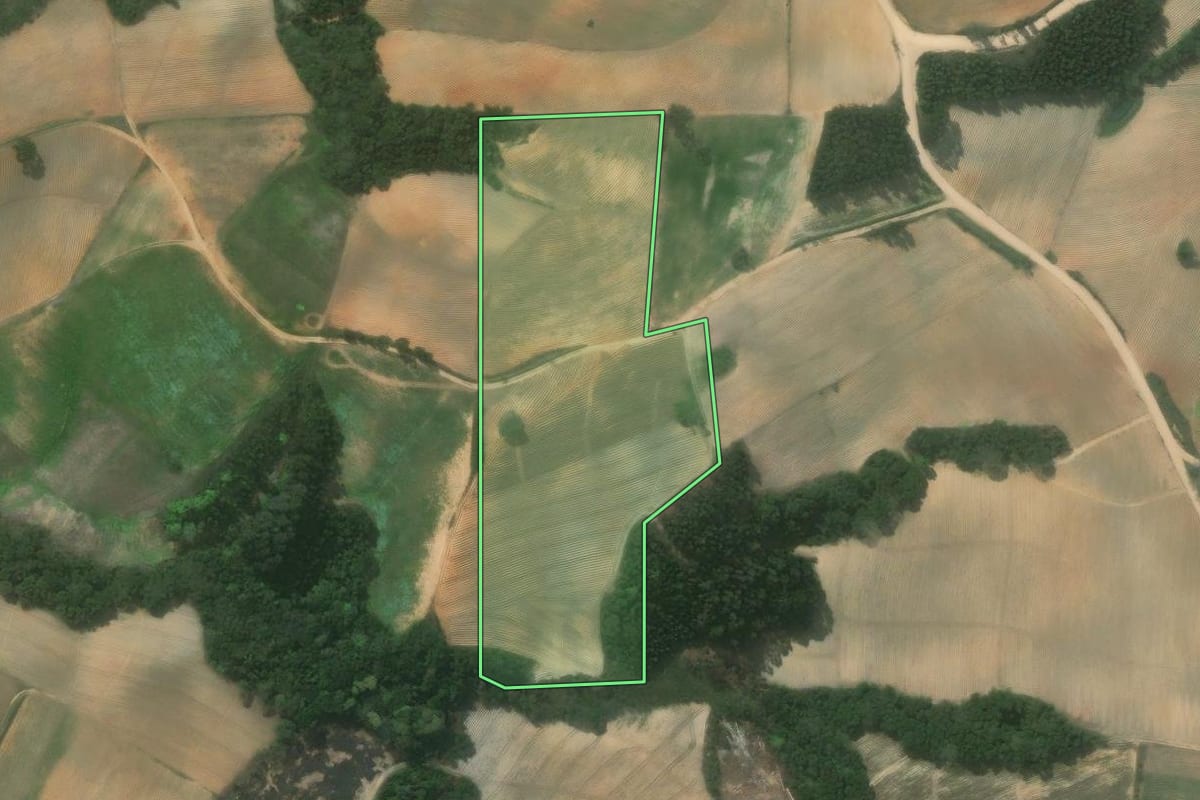 Imagem de satélite do imóvel rural em Quitandinha (PR), com o contorno declarado no CAR desenhado por cima.