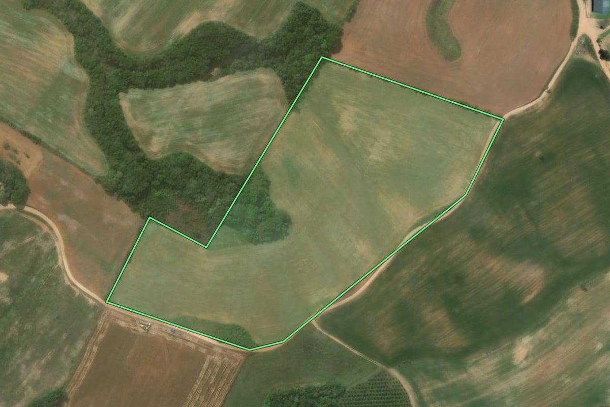 Imagem de satélite do imóvel rural em Quitandinha (PR), com o contorno declarado no CAR desenhado por cima.