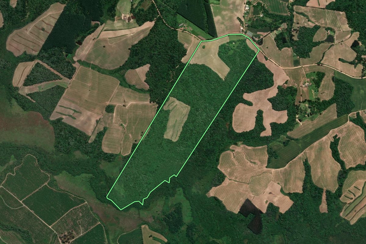 Imagem de satélite do imóvel rural em Quitandinha (PR), com o contorno declarado no CAR desenhado por cima.