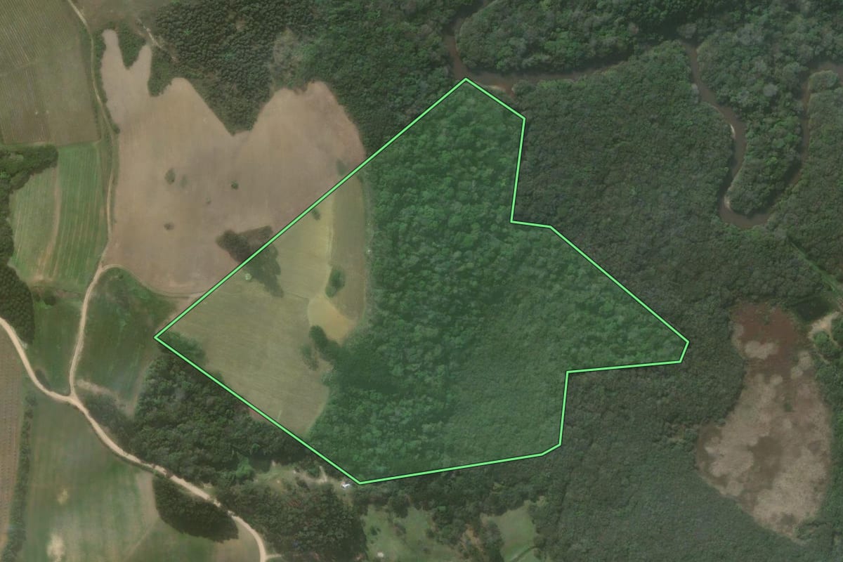 Imagem de satélite do imóvel rural em Quitandinha (PR), com o contorno declarado no CAR desenhado por cima.