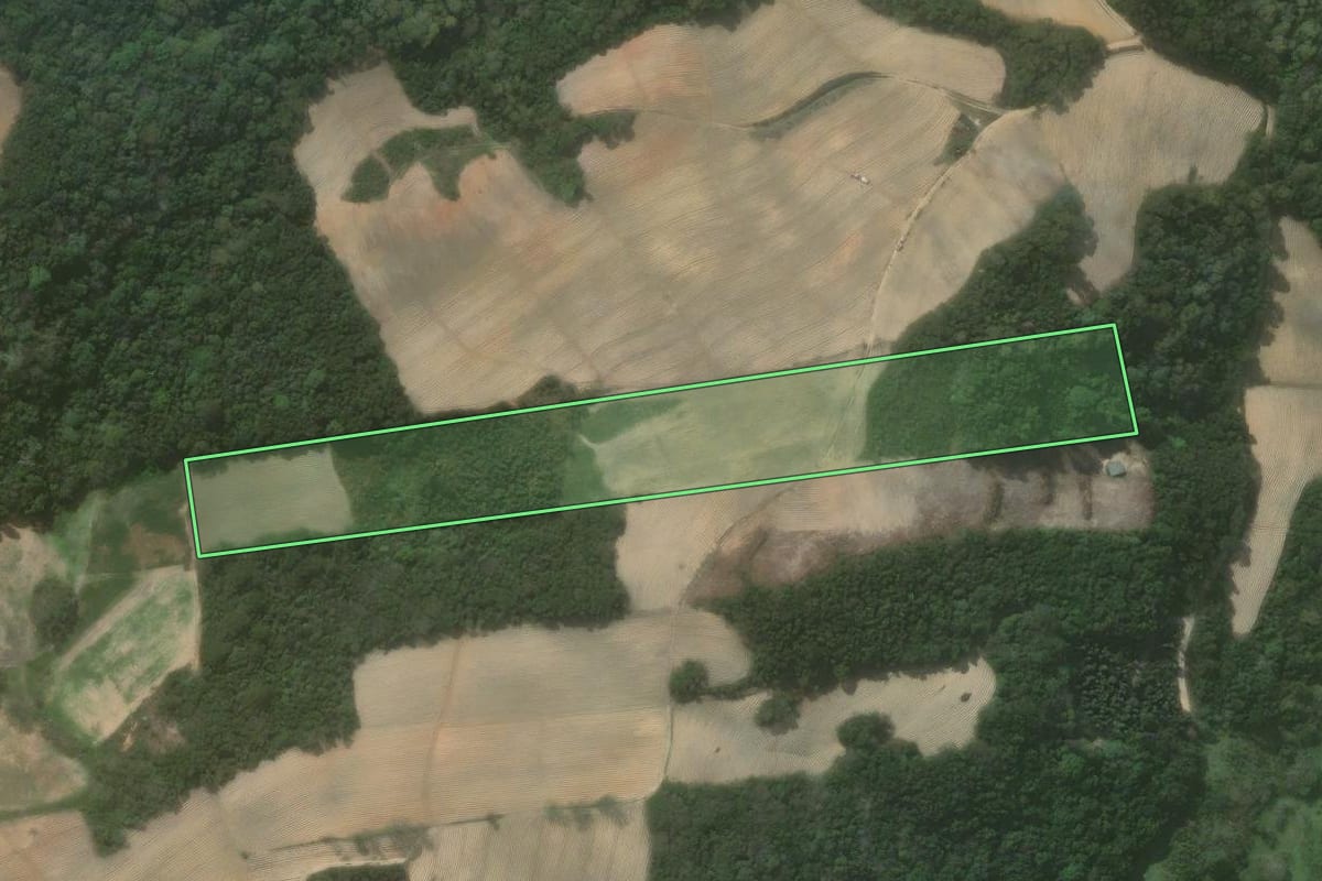 Imagem de satélite do imóvel rural em Quitandinha (PR), com o contorno declarado no CAR desenhado por cima.