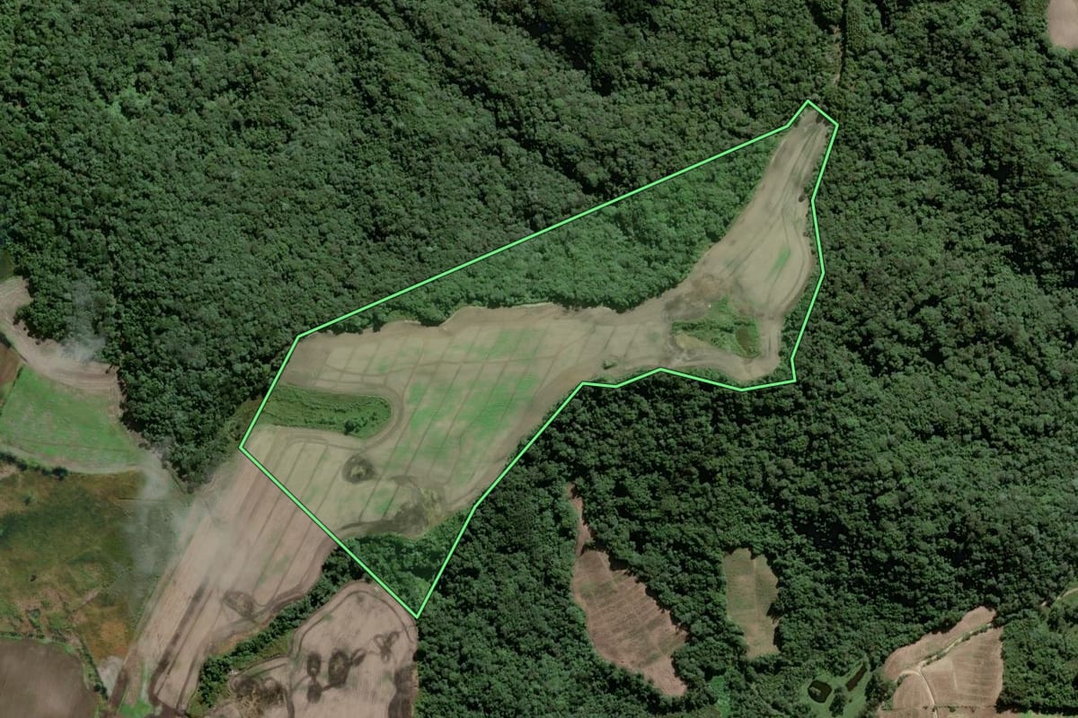 Imagem de satélite do imóvel rural em Piên (PR), com o contorno declarado no CAR desenhado por cima.