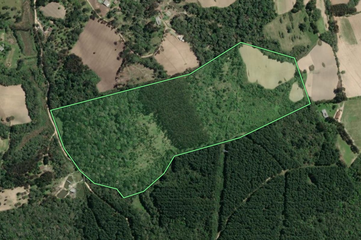 Imagem de satélite do imóvel rural em Quitandinha (PR), com o contorno declarado no CAR desenhado por cima.