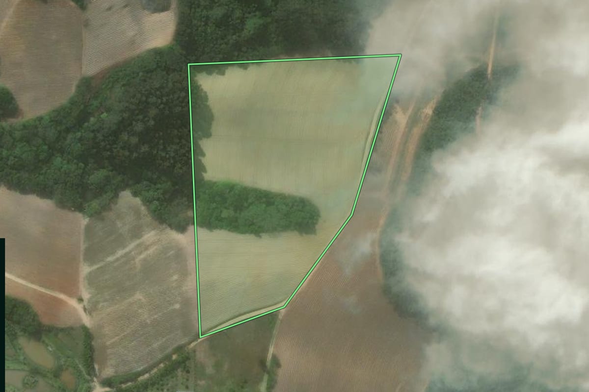 Imagem de satélite do imóvel rural em Quitandinha (PR), com o contorno declarado no CAR desenhado por cima.