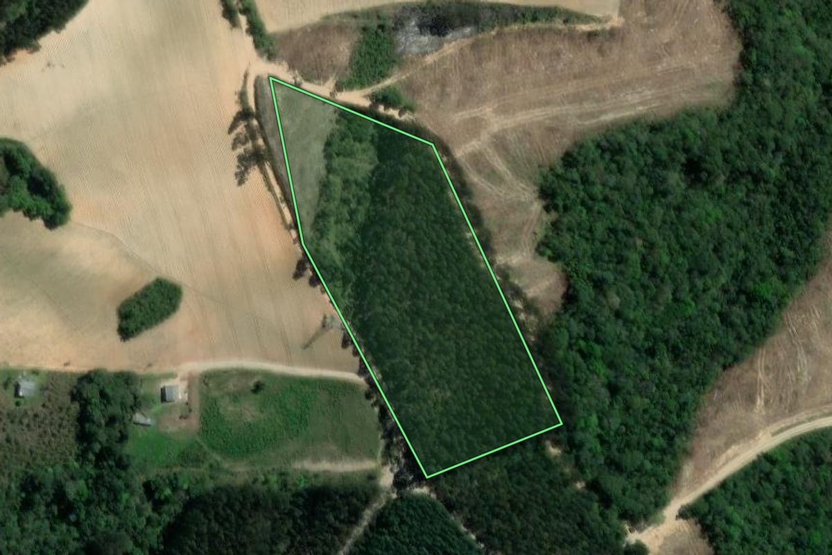 Imagem de satélite do imóvel rural em Quitandinha (PR), com o contorno declarado no CAR desenhado por cima.