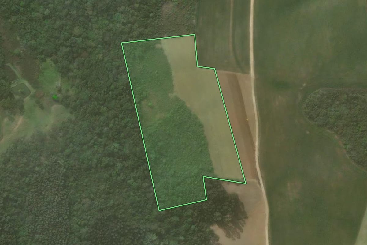 Imagem de satélite do imóvel rural em Quitandinha (PR), com o contorno declarado no CAR desenhado por cima.