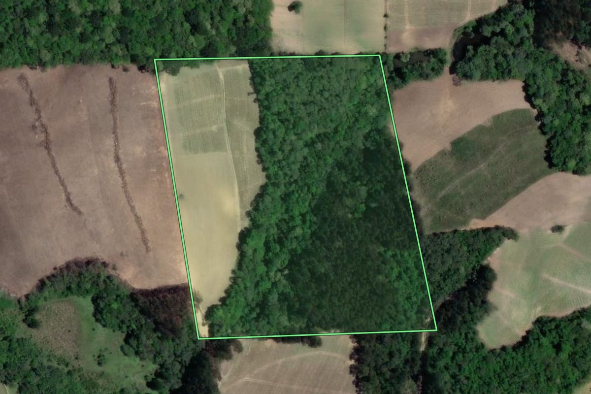 Imagem de satélite do imóvel rural em Quitandinha (PR), com o contorno declarado no CAR desenhado por cima.