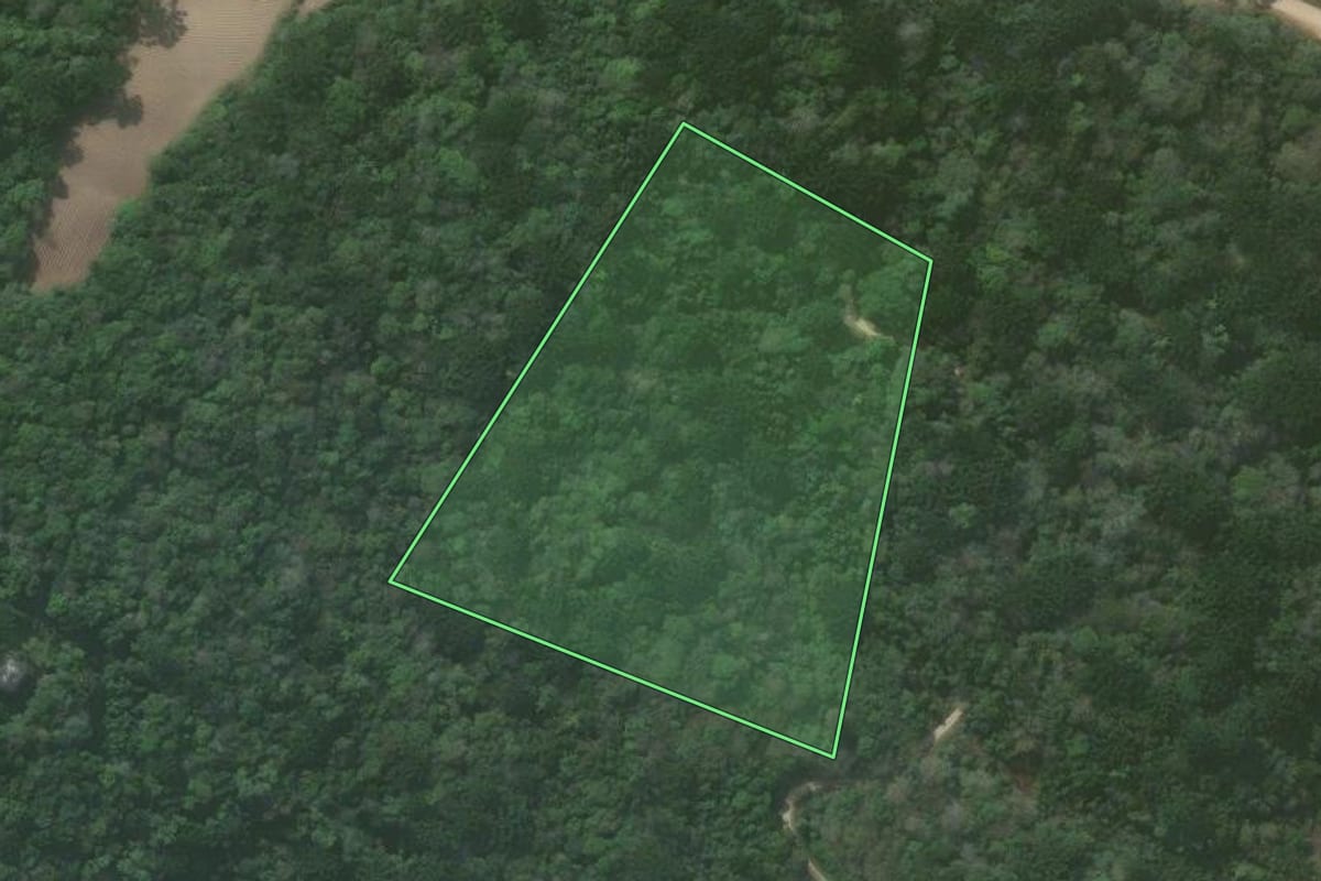 Imagem de satélite do imóvel rural em Quitandinha (PR), com o contorno declarado no CAR desenhado por cima.