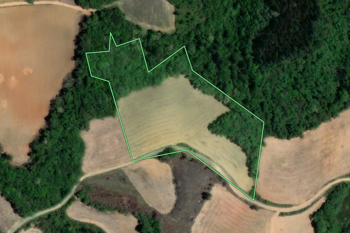 Imagem de satélite do imóvel rural em Quitandinha (PR), com o contorno declarado no CAR desenhado por cima.