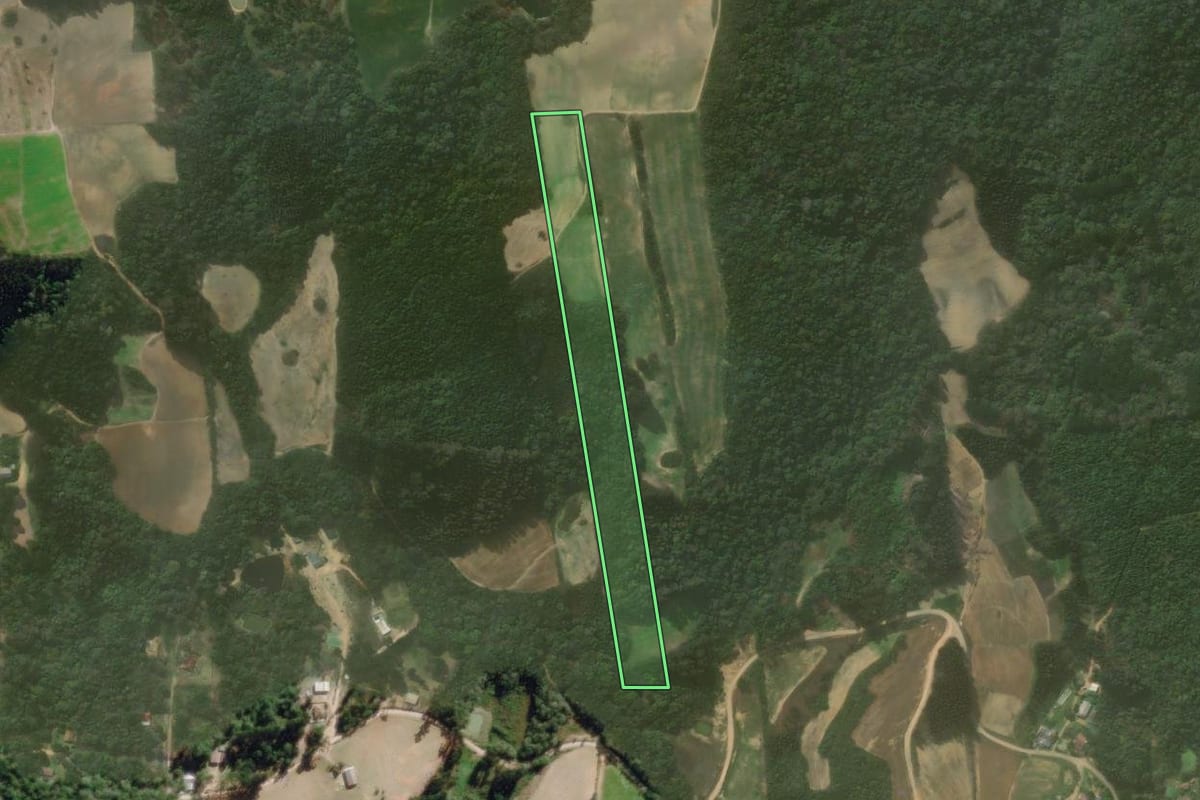 Imagem de satélite do imóvel rural em Quitandinha (PR), com o contorno declarado no CAR desenhado por cima.