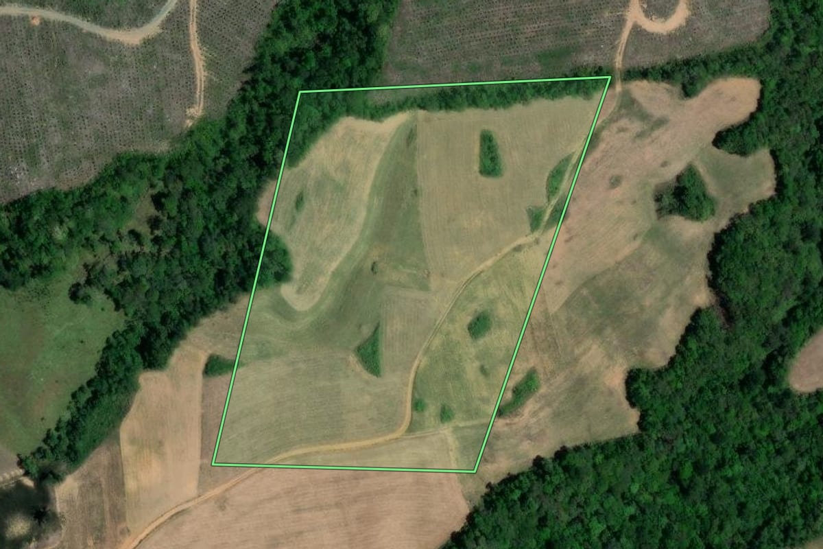Imagem de satélite do imóvel rural em Quitandinha (PR), com o contorno declarado no CAR desenhado por cima.