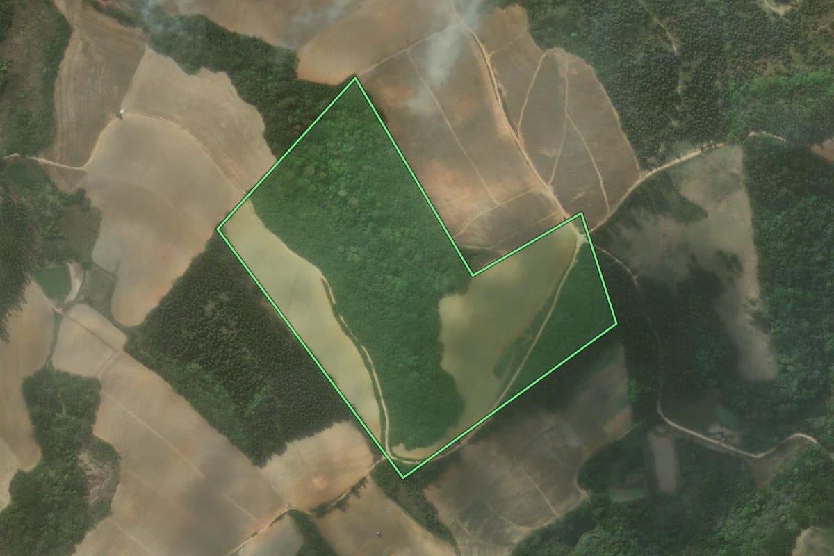 Imagem de satélite do imóvel rural em Quitandinha (PR), com o contorno declarado no CAR desenhado por cima.
