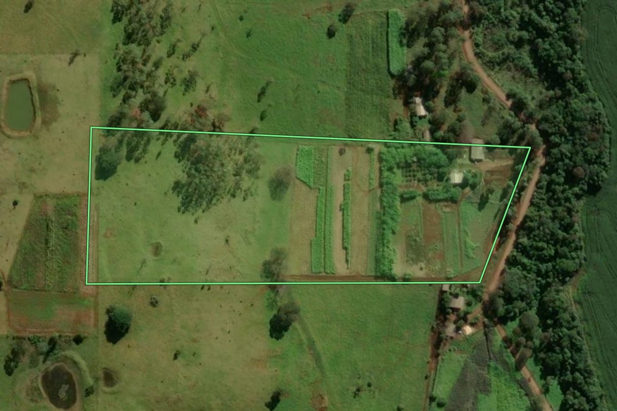 Imagem de satélite do imóvel rural em Ramilândia (PR), com o contorno declarado no CAR desenhado por cima.