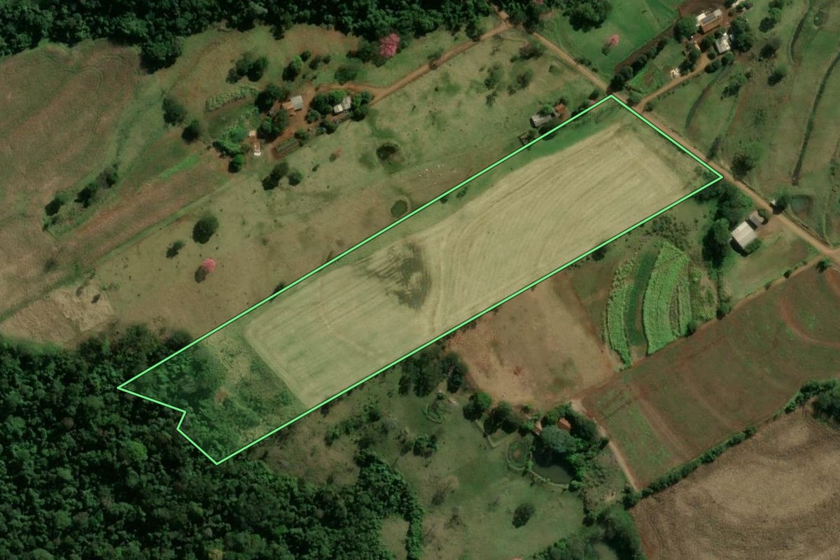 Imagem de satélite do imóvel rural em Ramilândia (PR), com o contorno declarado no CAR desenhado por cima.