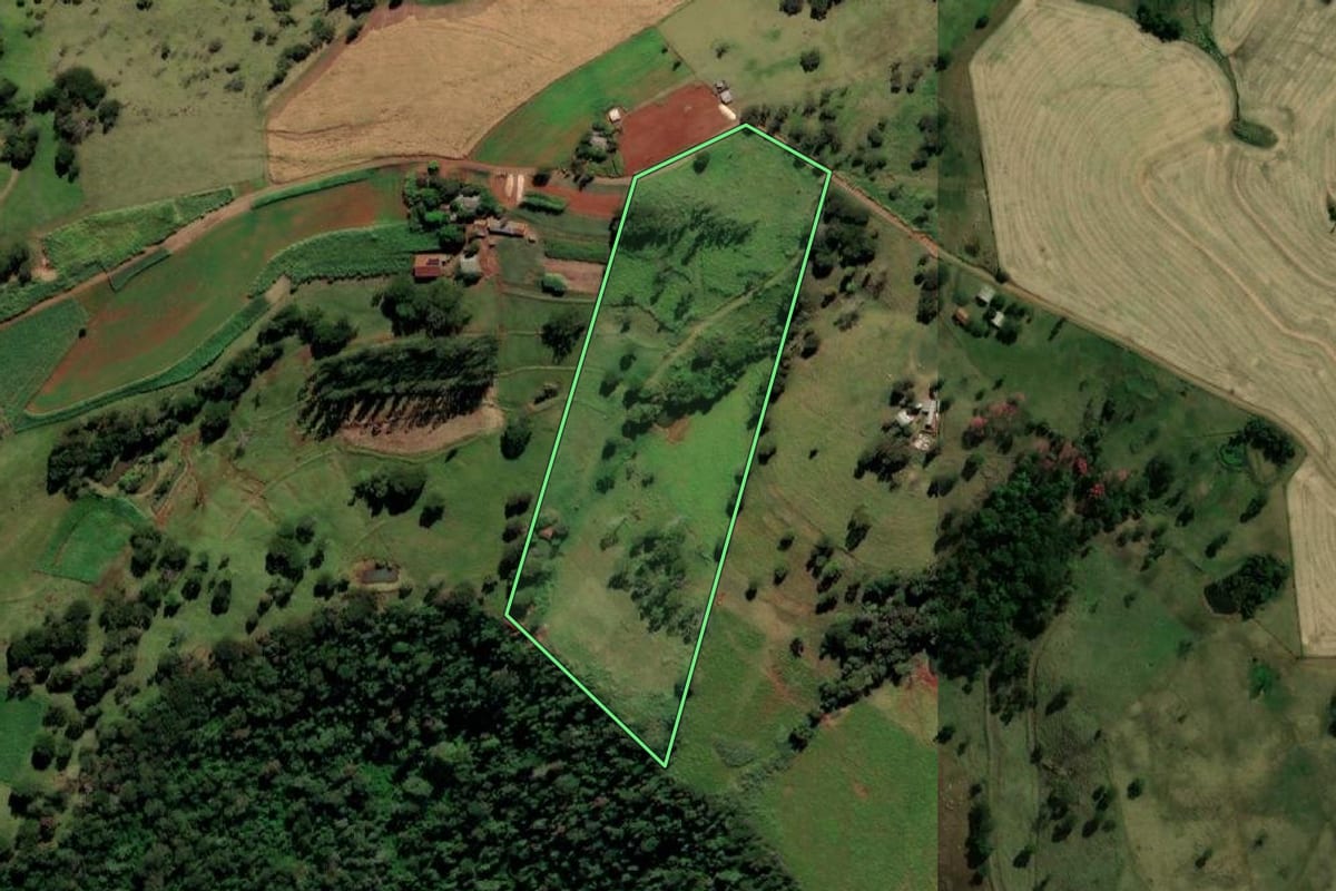 Imagem de satélite do imóvel rural em Ramilândia (PR), com o contorno declarado no CAR desenhado por cima.