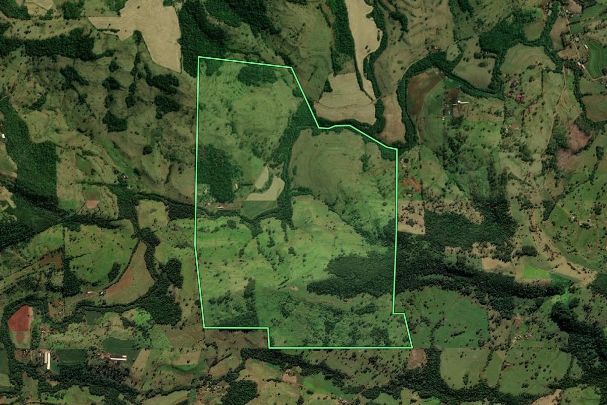 Imagem de satélite do imóvel rural em Ramilândia (PR), com o contorno declarado no CAR desenhado por cima.