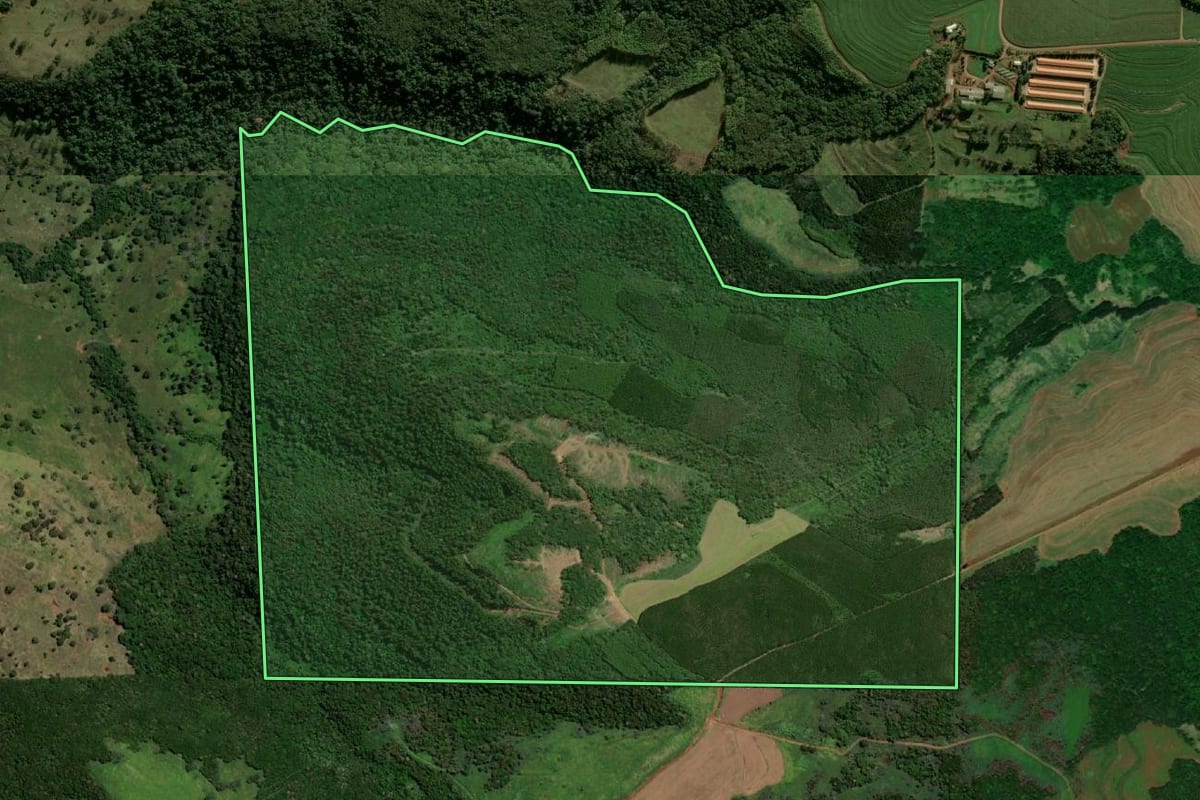 Imagem de satélite do imóvel rural em Ramilândia (PR), com o contorno declarado no CAR desenhado por cima.