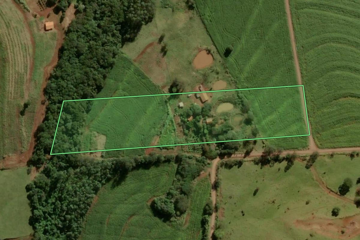 Imagem de satélite do imóvel rural em Ramilândia (PR), com o contorno declarado no CAR desenhado por cima.