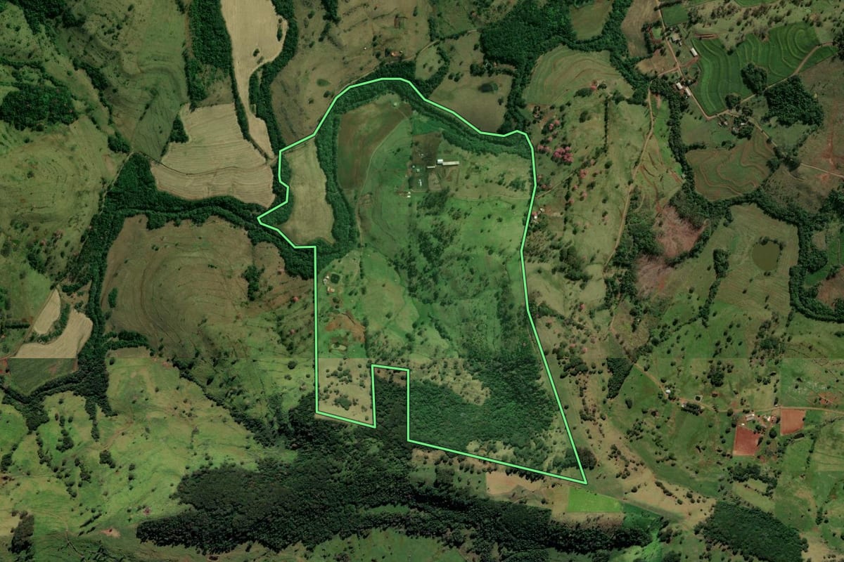 Imagem de satélite do imóvel rural em Ramilândia (PR), com o contorno declarado no CAR desenhado por cima.