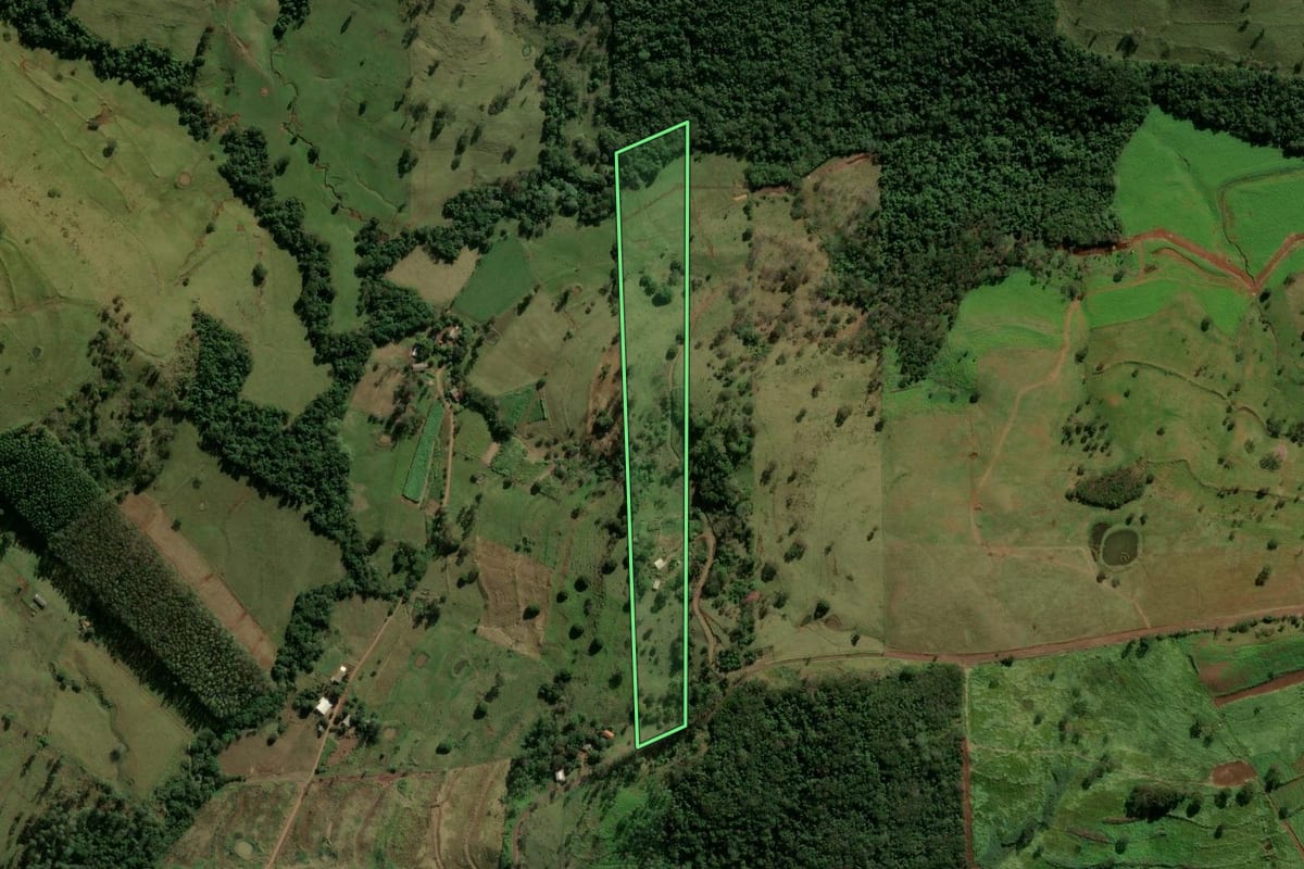 Imagem de satélite do imóvel rural em Ramilândia (PR), com o contorno declarado no CAR desenhado por cima.