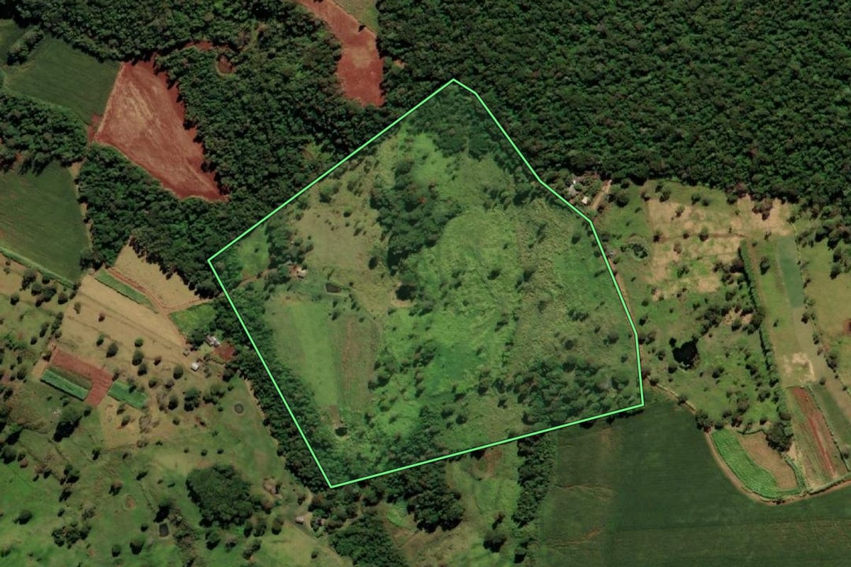 Imagem de satélite do imóvel rural em Ramilândia (PR), com o contorno declarado no CAR desenhado por cima.