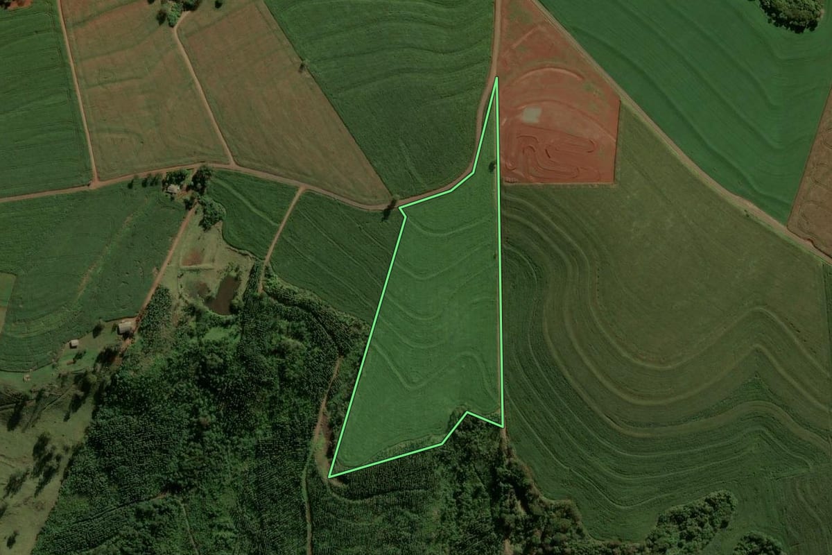 Imagem de satélite do imóvel rural em Ramilândia (PR), com o contorno declarado no CAR desenhado por cima.