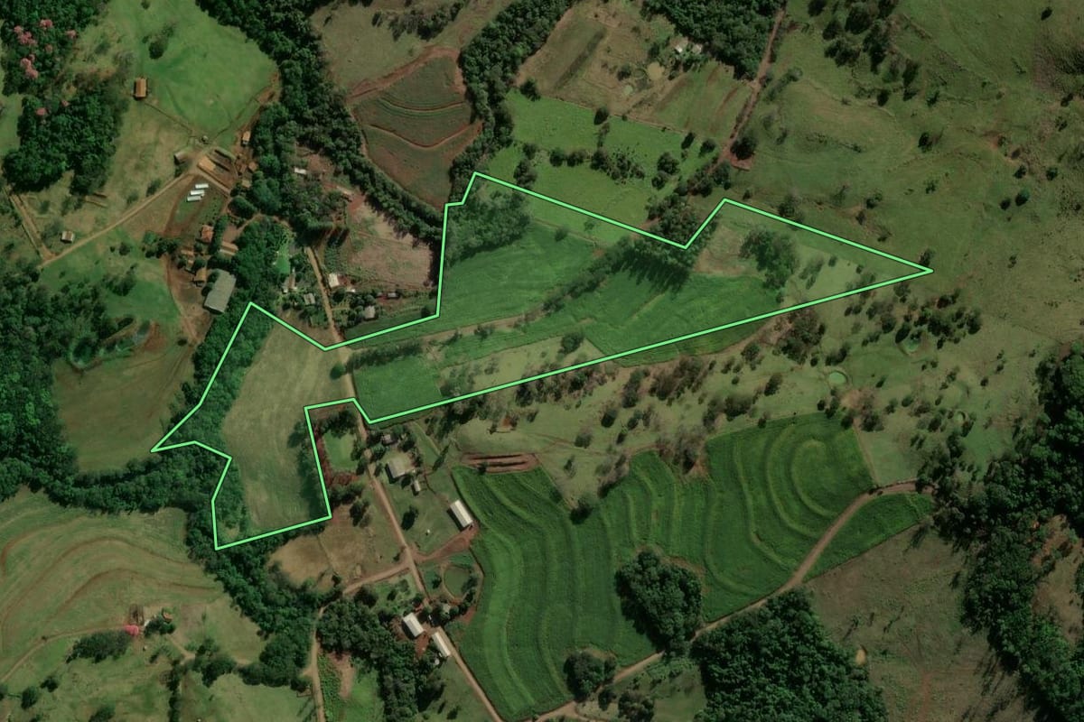 Imagem de satélite do imóvel rural em Ramilândia (PR), com o contorno declarado no CAR desenhado por cima.