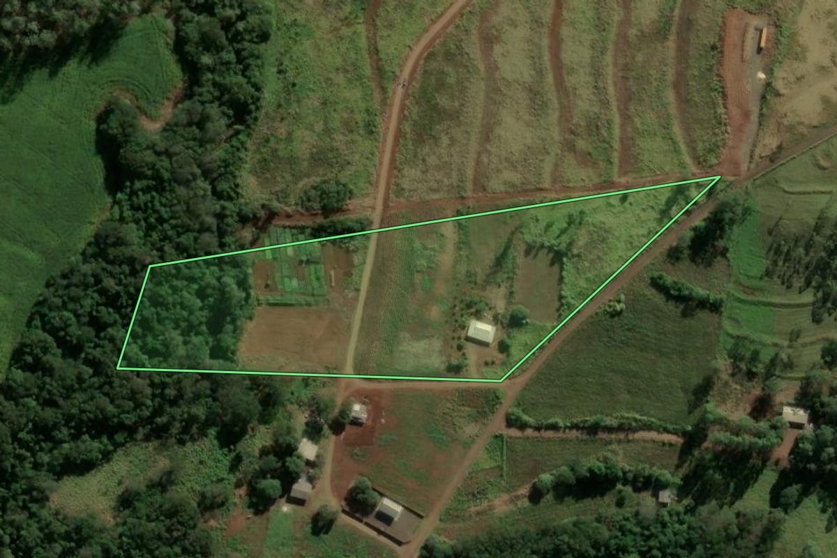 Imagem de satélite do imóvel rural em Ramilândia (PR), com o contorno declarado no CAR desenhado por cima.