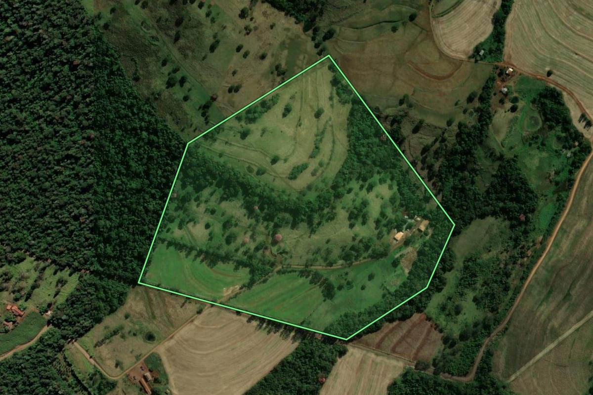 Imagem de satélite do imóvel rural em Ramilândia (PR), com o contorno declarado no CAR desenhado por cima.
