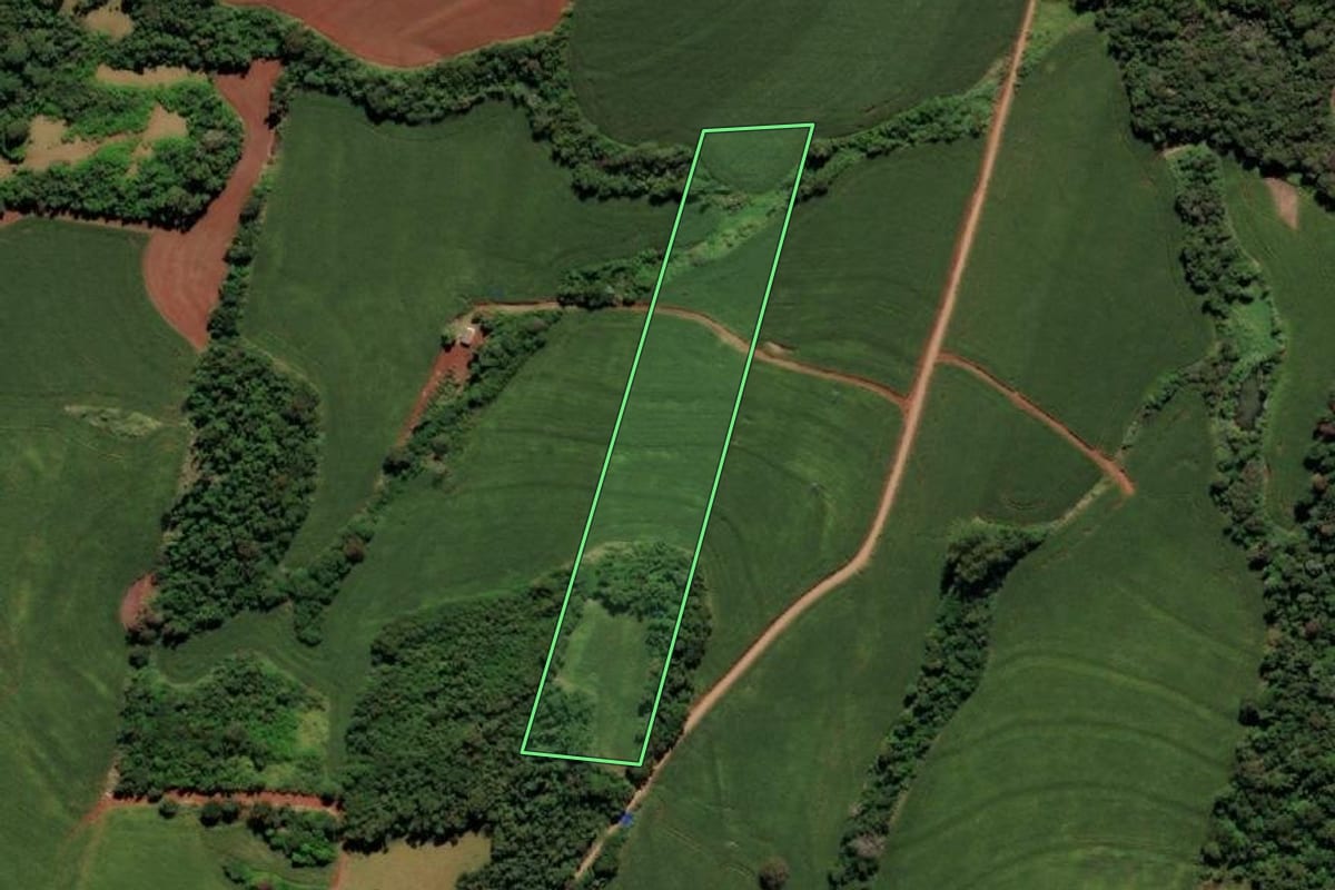 Imagem de satélite do imóvel rural em Ramilândia (PR), com o contorno declarado no CAR desenhado por cima.