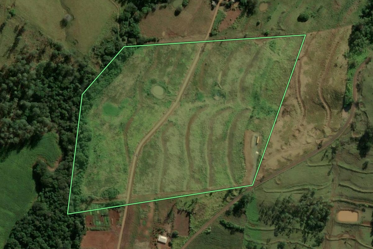 Imagem de satélite do imóvel rural em Ramilândia (PR), com o contorno declarado no CAR desenhado por cima.