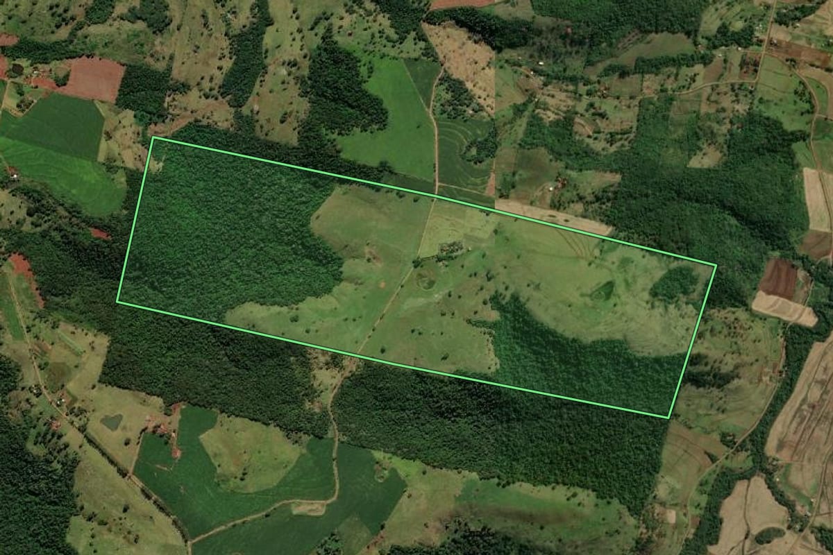 Imagem de satélite do imóvel rural em Ramilândia (PR), com o contorno declarado no CAR desenhado por cima.