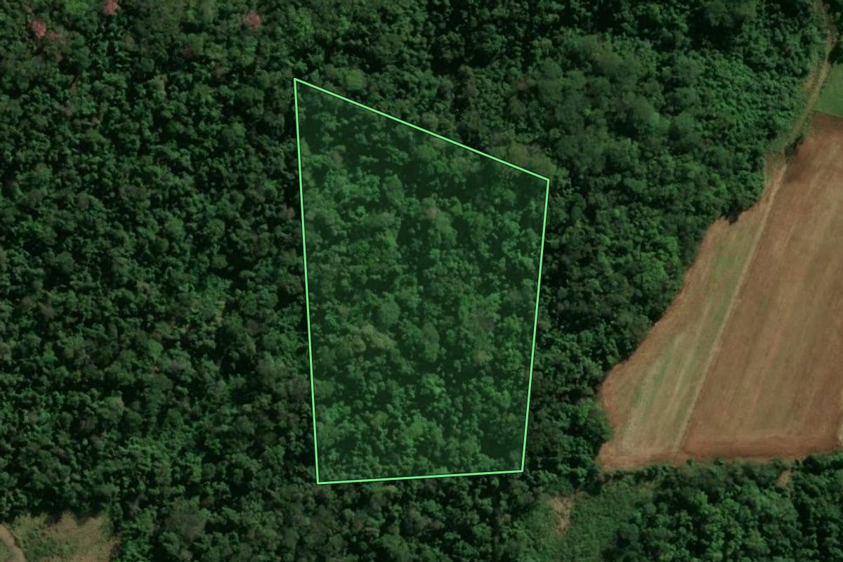 Imagem de satélite do imóvel rural em Ramilândia (PR), com o contorno declarado no CAR desenhado por cima.