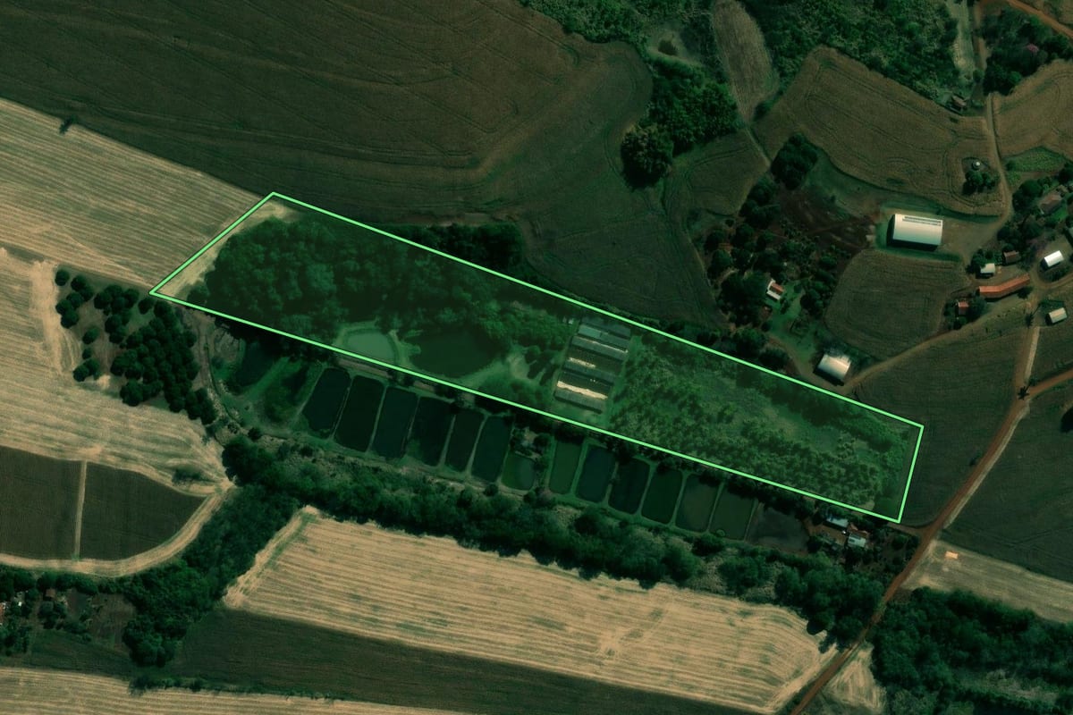 Imagem de satélite do imóvel rural em Rancho Alegre (PR), com o contorno declarado no CAR desenhado por cima.