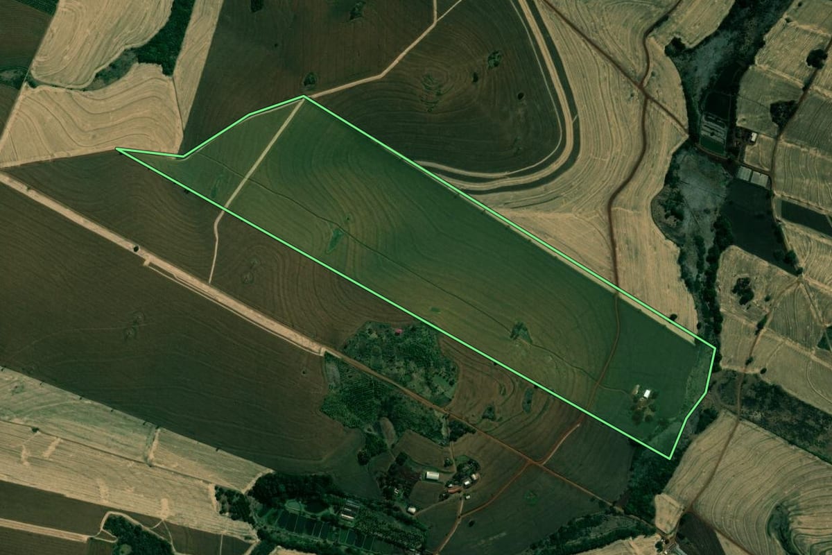 Imagem de satélite do imóvel rural em Rancho Alegre (PR), com o contorno declarado no CAR desenhado por cima.