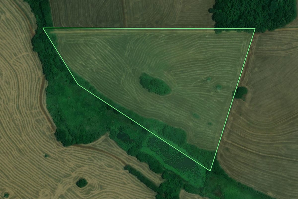 Imagem de satélite do imóvel rural em Rancho Alegre (PR), com o contorno declarado no CAR desenhado por cima.