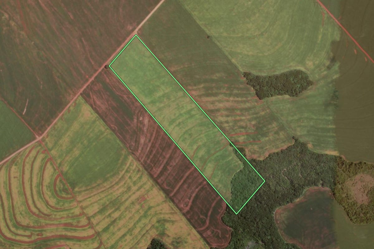 Imagem de satélite do imóvel rural em Rancho Alegre D'Oeste (PR), com o contorno declarado no CAR desenhado por cima.