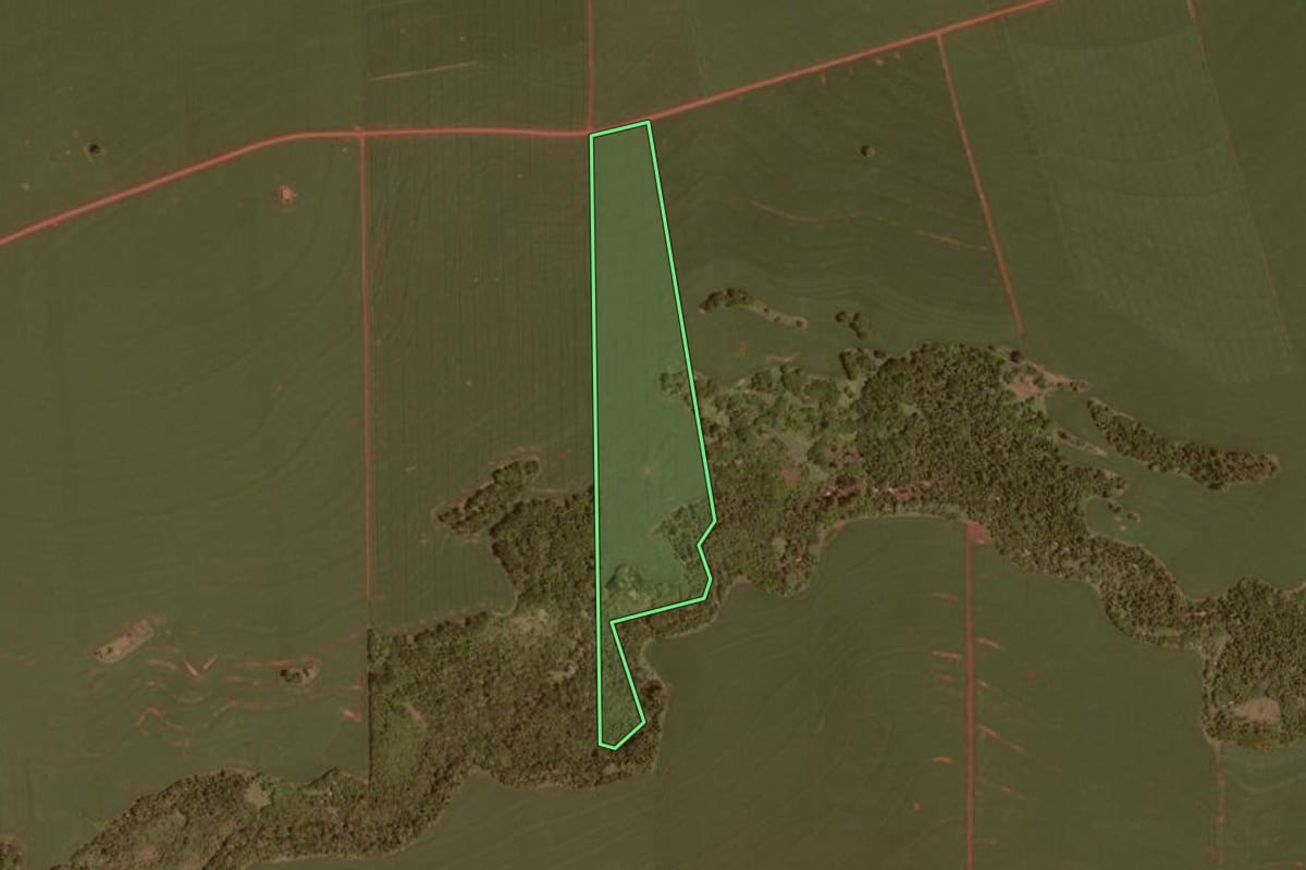 Imagem de satélite do imóvel rural em Rancho Alegre D'Oeste (PR), com o contorno declarado no CAR desenhado por cima.