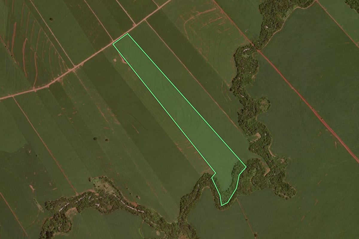 Imagem de satélite do imóvel rural em Rancho Alegre D'Oeste (PR), com o contorno declarado no CAR desenhado por cima.