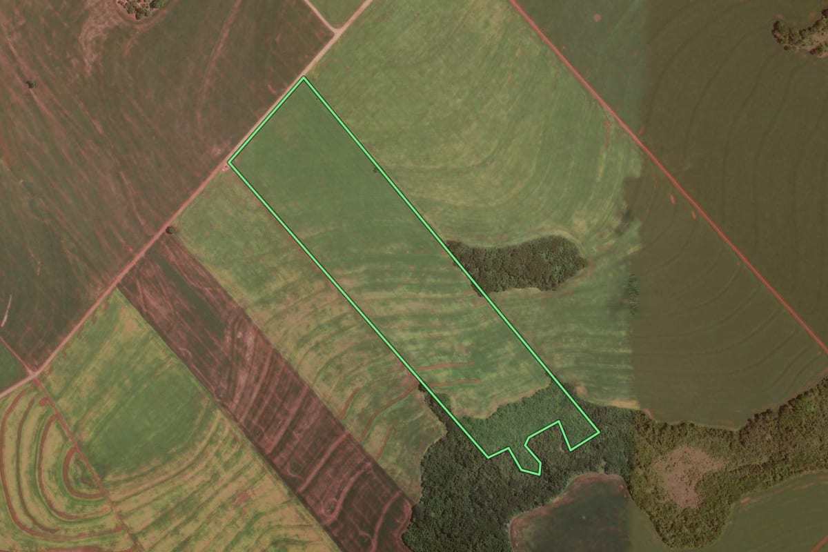 Imagem de satélite do imóvel rural em Rancho Alegre D'Oeste (PR), com o contorno declarado no CAR desenhado por cima.
