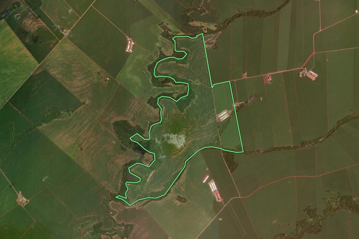 Imagem de satélite do imóvel rural em Rancho Alegre D'Oeste (PR), com o contorno declarado no CAR desenhado por cima.