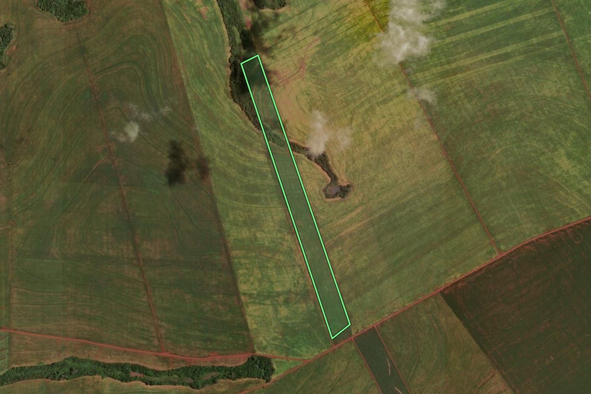 Imagem de satélite do imóvel rural em Rancho Alegre D'Oeste (PR), com o contorno declarado no CAR desenhado por cima.