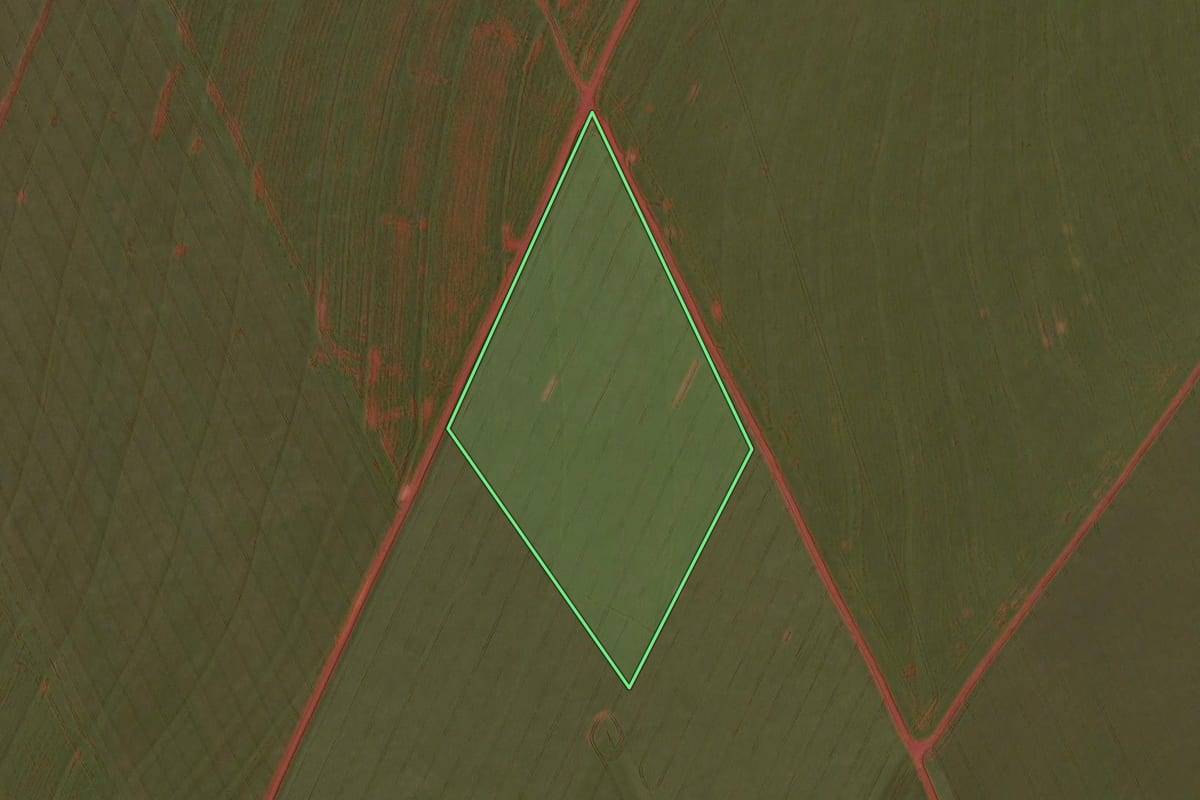 Imagem de satélite do imóvel rural em Rancho Alegre D'Oeste (PR), com o contorno declarado no CAR desenhado por cima.