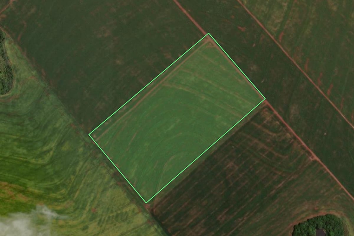 Imagem de satélite do imóvel rural em Rancho Alegre D'Oeste (PR), com o contorno declarado no CAR desenhado por cima.