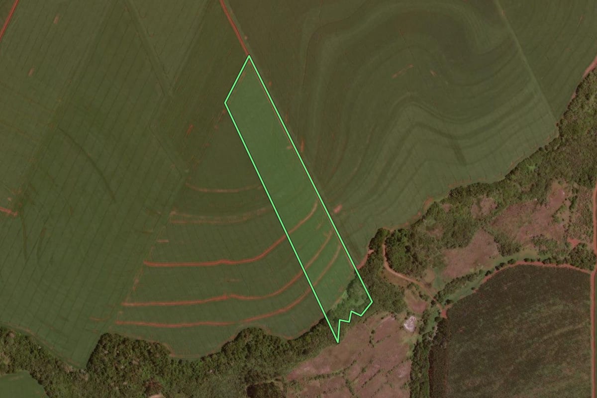Imagem de satélite do imóvel rural em Rancho Alegre D'Oeste (PR), com o contorno declarado no CAR desenhado por cima.