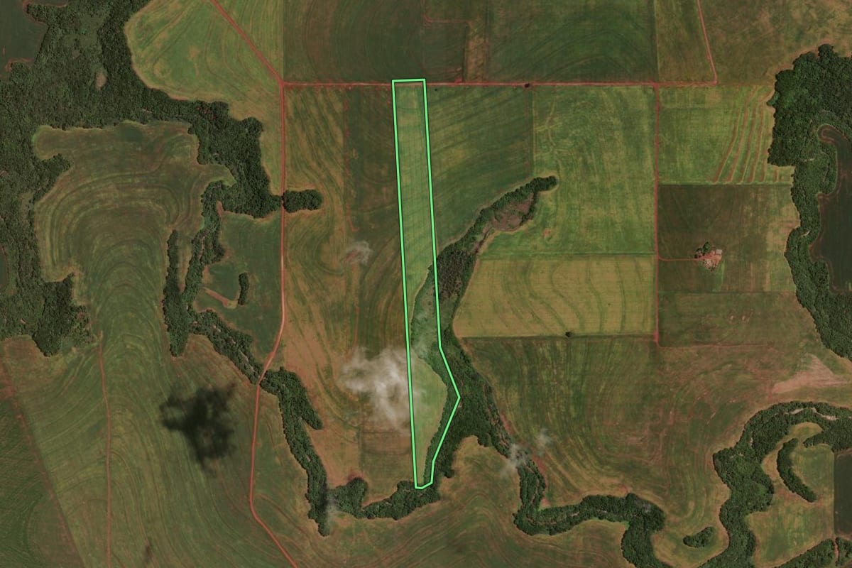 Imagem de satélite do imóvel rural em Rancho Alegre D'Oeste (PR), com o contorno declarado no CAR desenhado por cima.