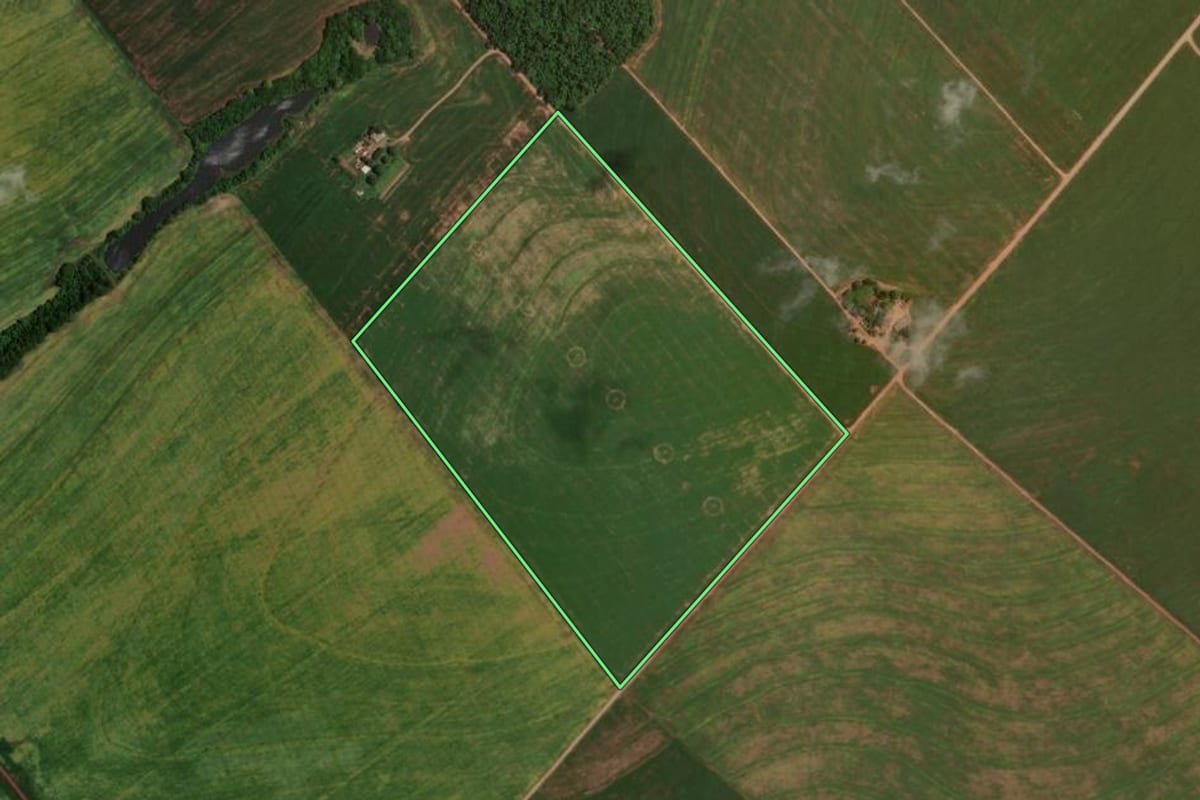 Imagem de satélite do imóvel rural em Rancho Alegre D'Oeste (PR), com o contorno declarado no CAR desenhado por cima.