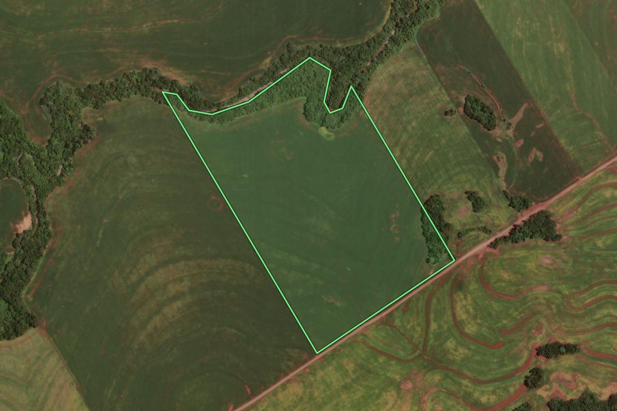 Imagem de satélite do imóvel rural em Rancho Alegre D'Oeste (PR), com o contorno declarado no CAR desenhado por cima.