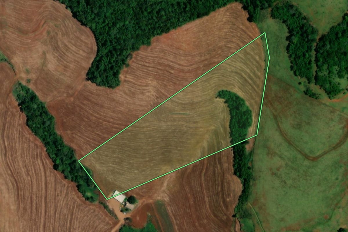 Imagem de satélite do imóvel rural em Realeza (PR), com o contorno declarado no CAR desenhado por cima.